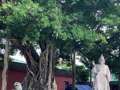 -闽粤南澳总镇府