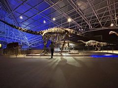 -世界恐龙谷景区