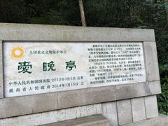 -茶颜悦色(岳麓山顶店)