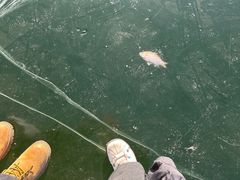 -长春市南湖公园