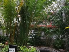 -三亚珠江南田温泉度假区