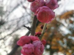 -乌山风景区