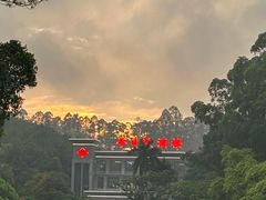-三水森林公园