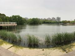 -新江湾城公园
