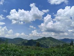 -重庆睡佛山森林公园