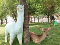-北京鹿世界主题园