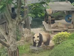 -大连森林动物园