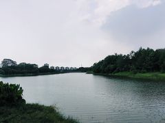 -东莞植物园