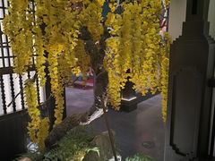 -金链花·泰国餐厅(国贸店)