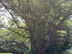 -天目湖涵田度假村