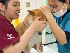 -德元·美联众合24小时动物医院(总院)