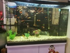 -万景饭店·鱼街农家菜
