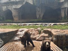 -海南热带野生动植物园