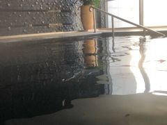 -和园景逸大酒店朗月汤泉