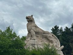 -帽儿山国家森林公园