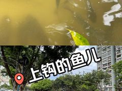 -晓港公园
