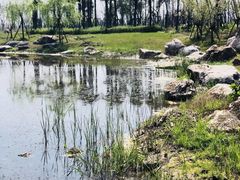 -春花秋色城市公园