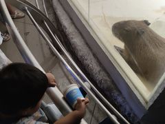 -重庆欢乐海底世界