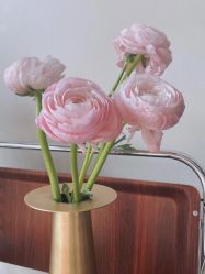 -Oasis Beauty水磨坊科技美肤中心