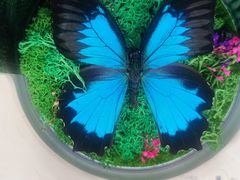 -悦富门冬瓜盅(新业广场店)