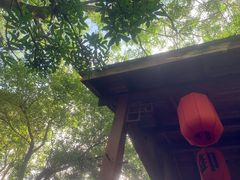 -西安国际创新人才交流中心•药浴温泉