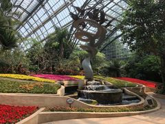 -南山植物园