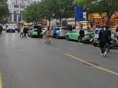 -马文章胖子甑糕(洒金桥店)