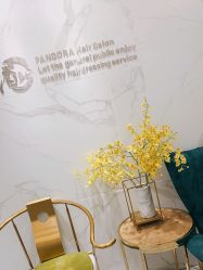 -潘多拉Hairsalon