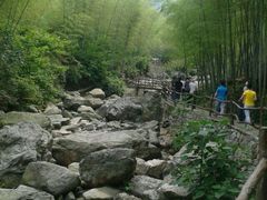 android_upload_pic-浙北大峡谷