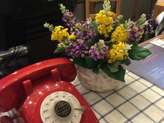 -Cafe Alice咖啡爱丽丝(奥城店)