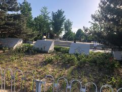 -大兴滨河森林公园