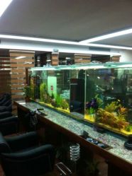 android_upload_pic-小左美发