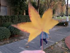 -春晖园度假酒店温泉