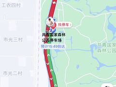 -上海共青森林公园