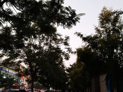-顺季