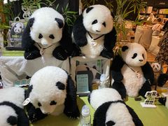 -轩客会(熊猫书店)