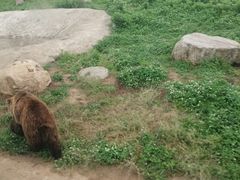 -西安秦岭野生动物园