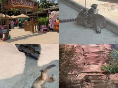 -福州罗源湾海洋世界旅游区