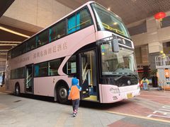-东海朗廷酒店·廷廊 Palm Court
