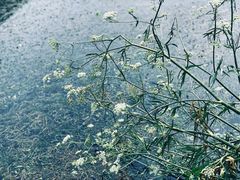 -白河湾生态旅游一条川