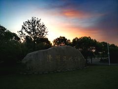 -漕湖湿地公园