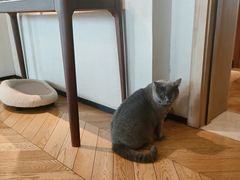 -Me Coffee下午茶艺术空间