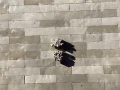 -故宫冰窖餐厅
