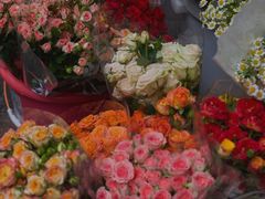 -循礼门鲜花花市(武汉循礼门店)