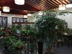 大堂-呼吸森林·生态农庄农家乐私房菜