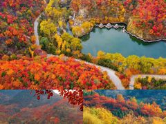 -九如山休闲旅游度假区