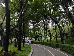 -荔香公园
