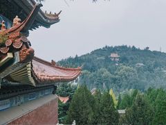 -龙口南山旅游景区