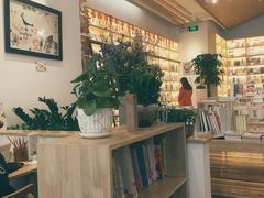-猫的天空之城概念书店(印象城购物中心店)