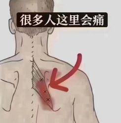 -YESIDO椰岛美容